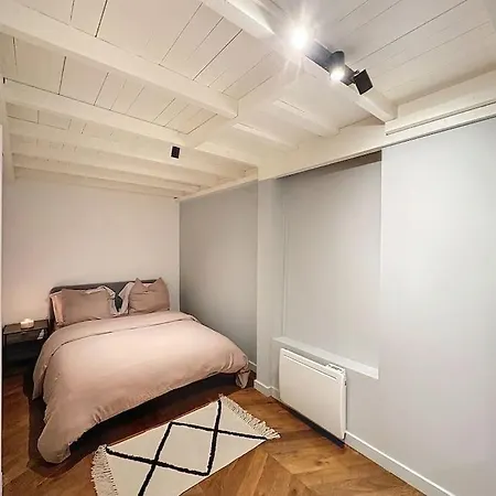 Cosy Appartement, Coeur De Lyon, Plat * Lyon