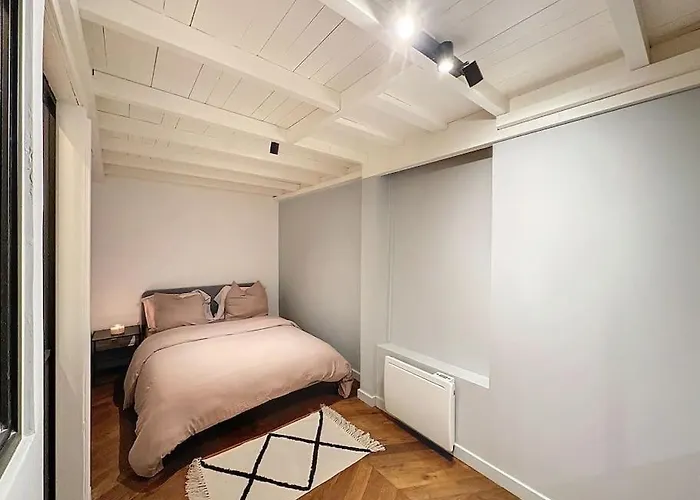 Cosy Appartement, Coeur De Lyon, Plat * Lyon